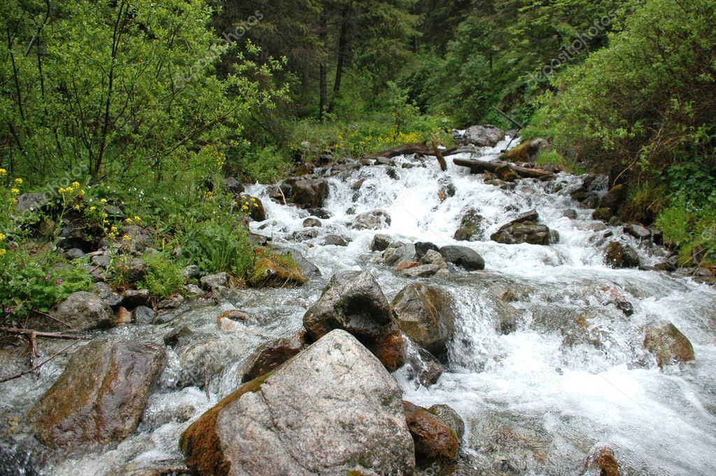 Развитие курорта Almaty SuperSki не нанесет ущерба водным ресурсам Алматы